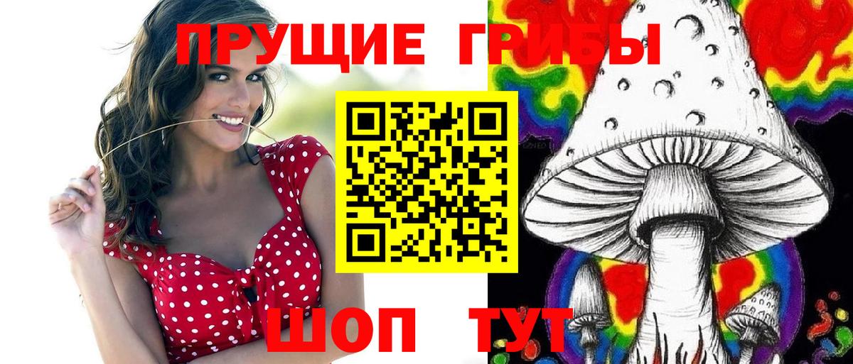 Псилоцибиновые грибы мицелий Изобильный
